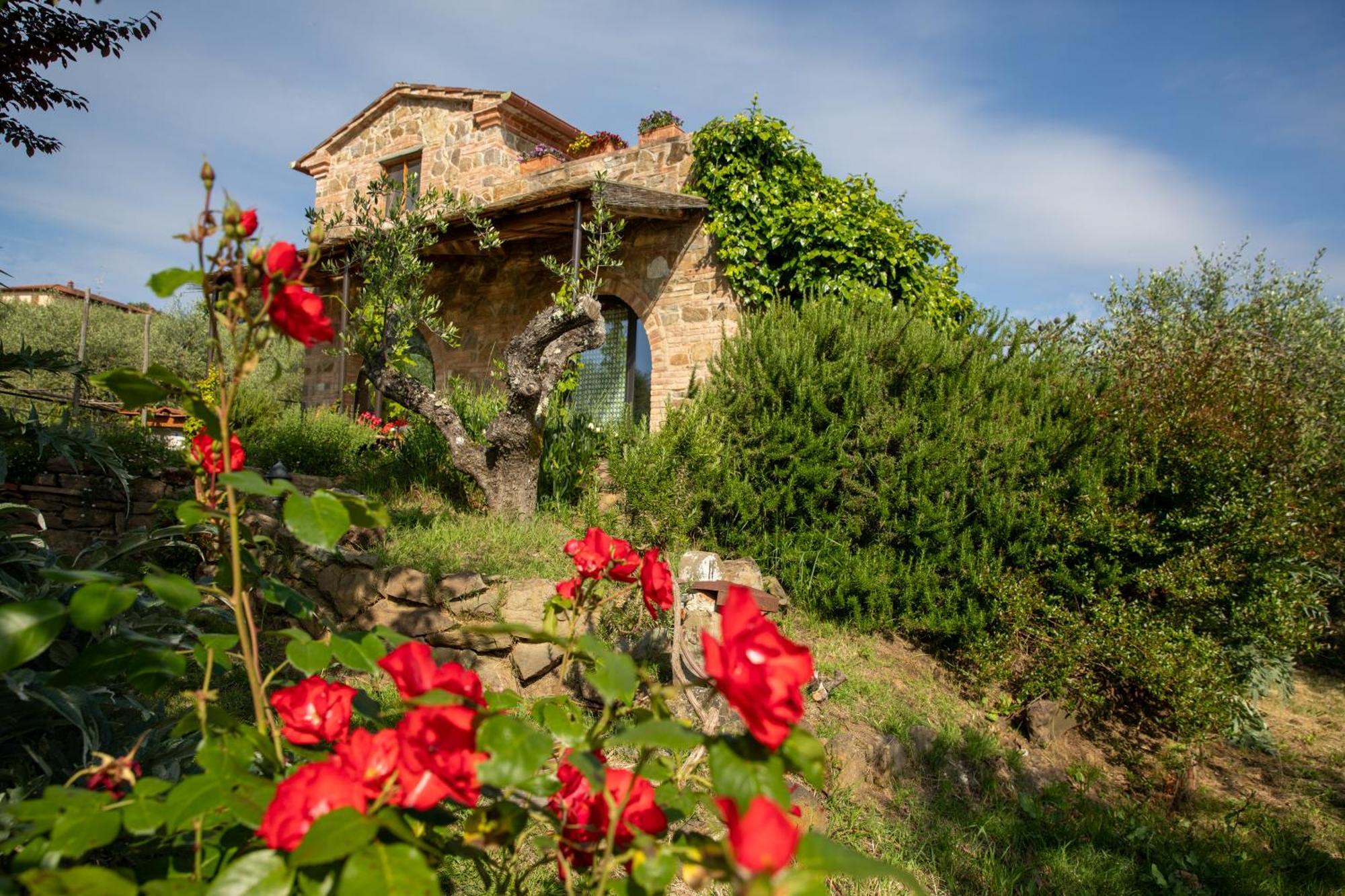 RigomagnoIl Poggio Dell'Eremita公寓 外观 照片